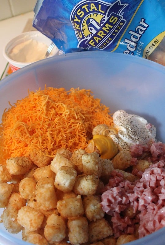 tater tot casserole with cheese