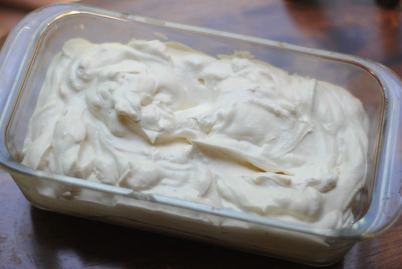 homemade-vanilla-ice-cream-2