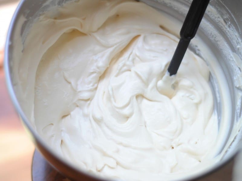 homemade-vanilla-ice-cream1