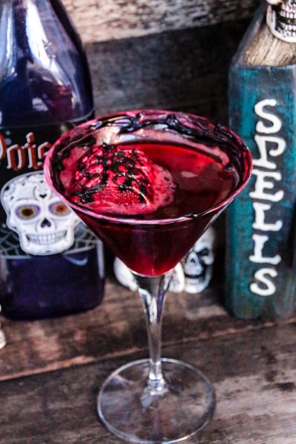 Blood & Brains Cranberry Martini-11 (1)