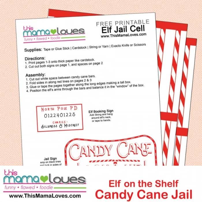 Elf On The Shelf Idea Candy Cane Jail This Mama Loves