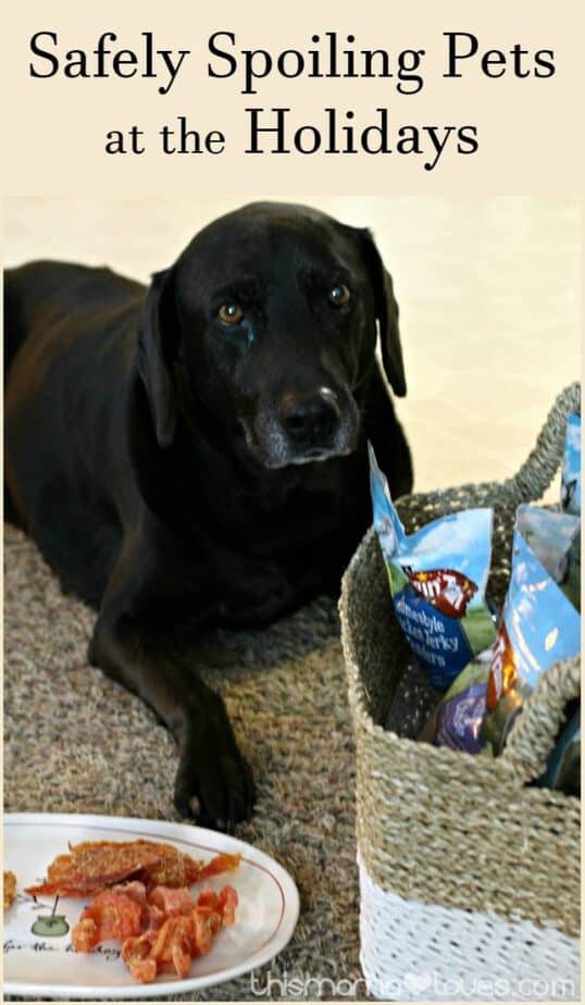 View of Safely Spoiling Pets at the Holidays - This Mama Loves