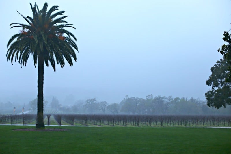 chateaustjean rain view