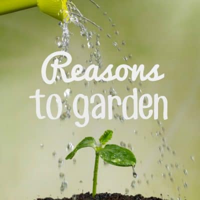 8 Reasons to Garden