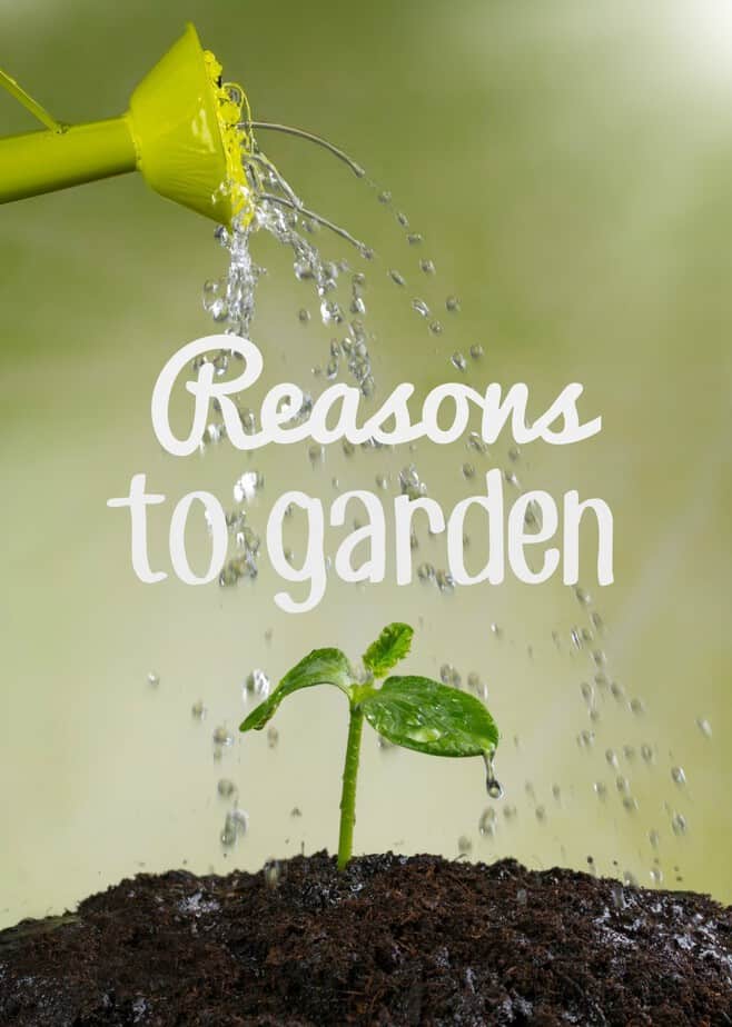 8 Reasons to Garden- This Mama Loves