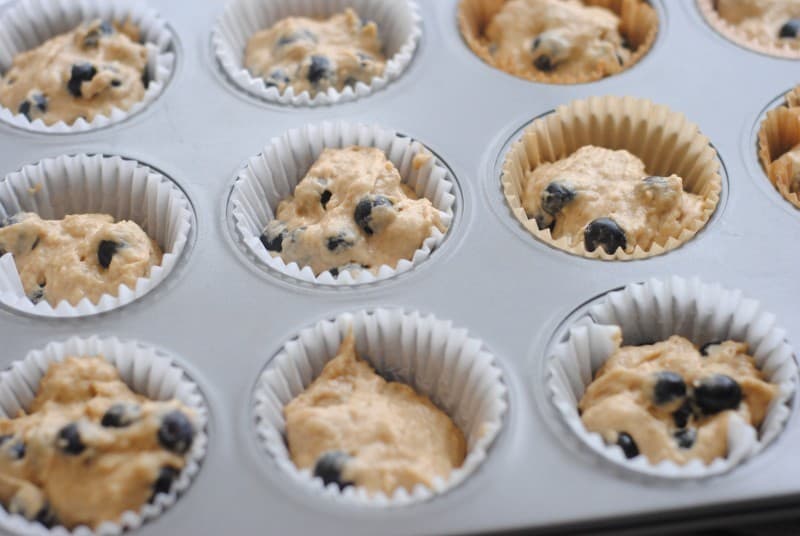 blueberry coffee muffins tins