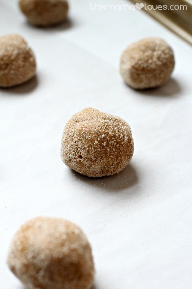 Gluten Free Molasses Cookies Recipe - This Mama Loves