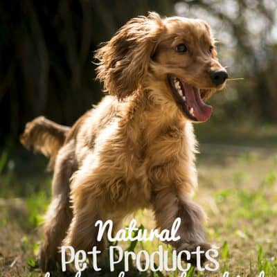 Natural Pet Products