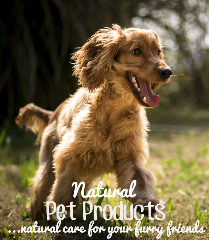 Natural Pet Products: This Mama Loves