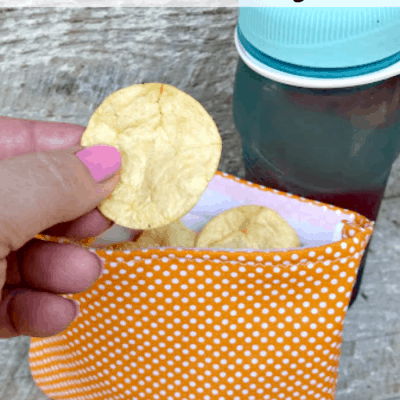 Homemade Reusable Sandwich Bags