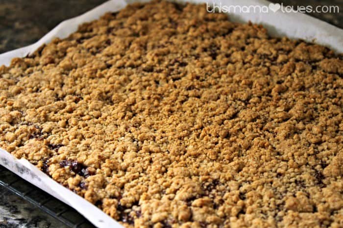 Homemade Baby Cereal Bars with Fruit