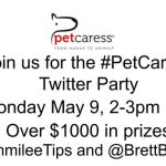 pet caress party #petcaress