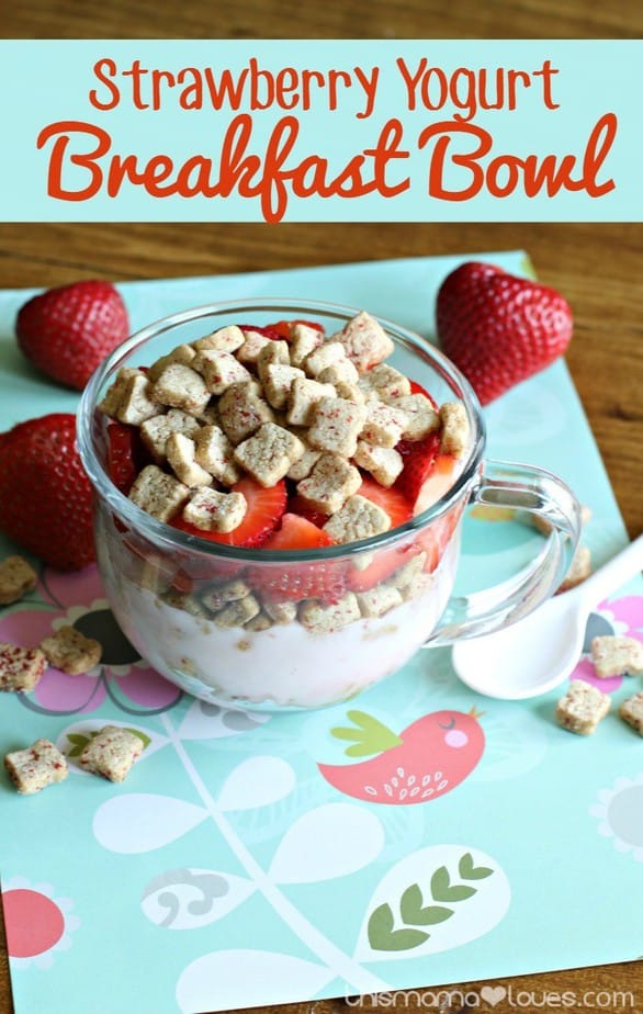 Strawberry Yogurt Breakfast Bowl / This Mama Loves