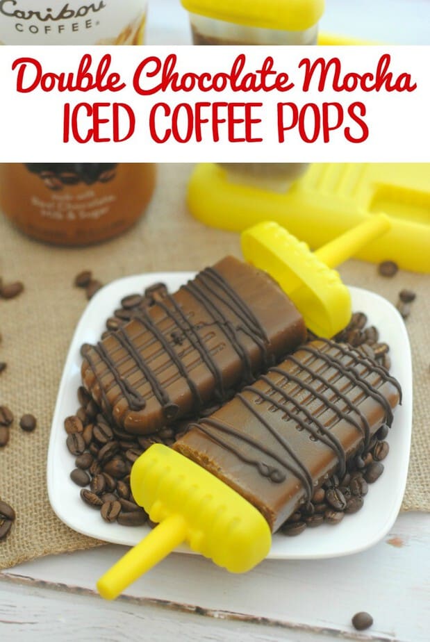 Double Chocolate Mocha Iced Coffee Pops- This Mama Loves