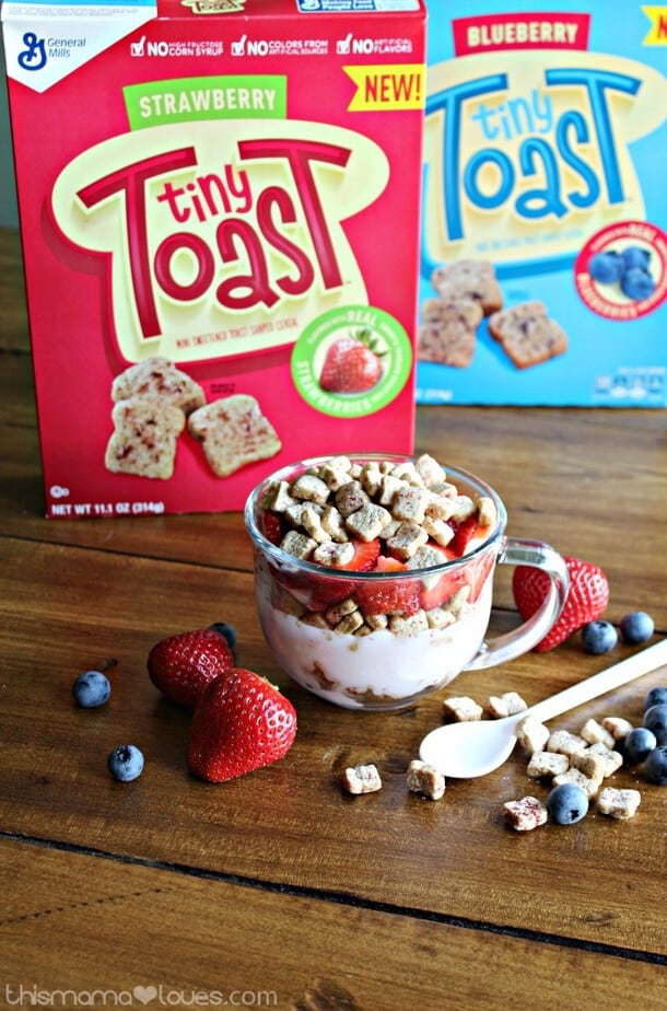 Strawberry Yogurt Breakfast Bowl