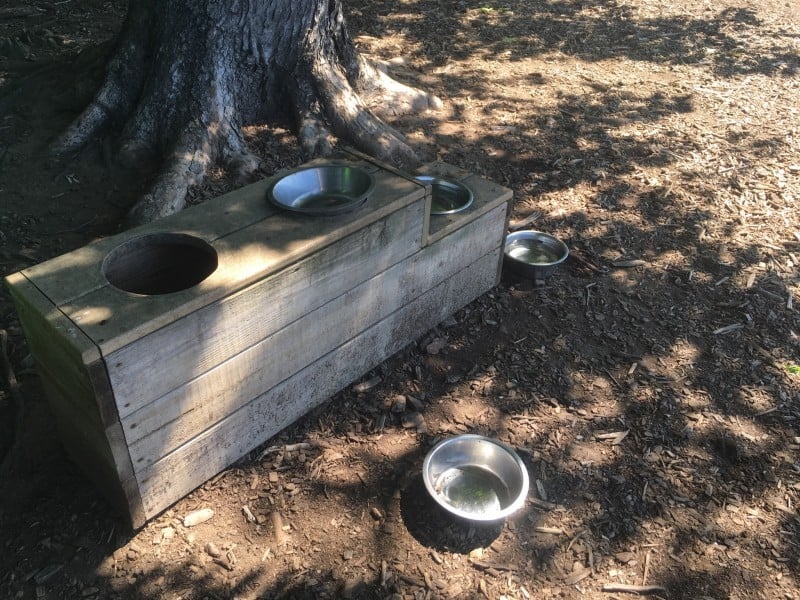 dog park water