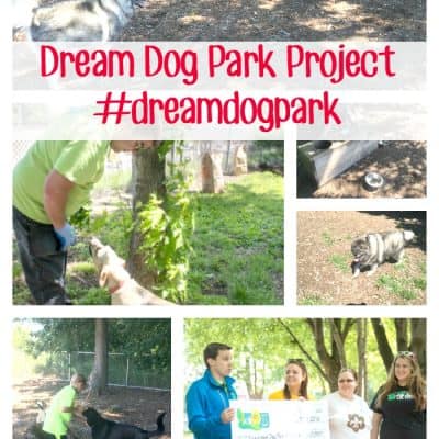 Beneful Dream Dog Park Project Program