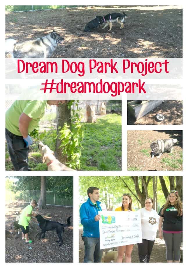 Dream Dog Park Project- This Mama Loves Blog