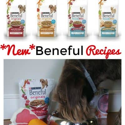 New Beneful Recipes (PLUS! Get a free sample!) #FriendsofBeneful