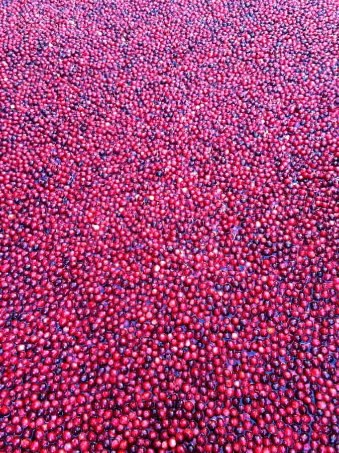 cranberries