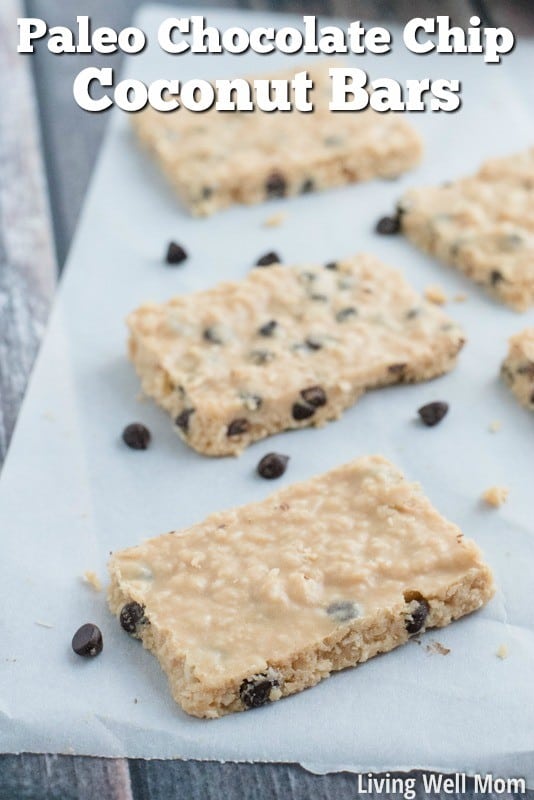 Brain Food Snacks for Middle Schoolers - Chocolate Chip Coconut Bars