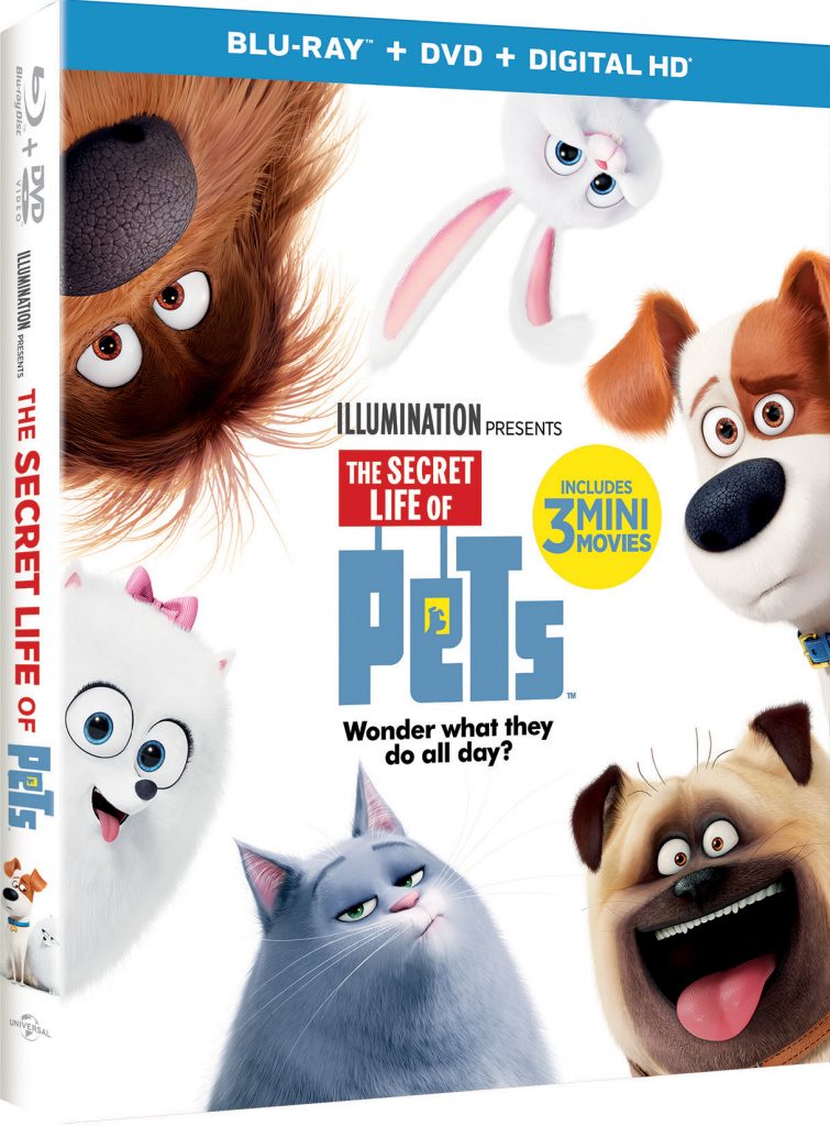 pets-3d