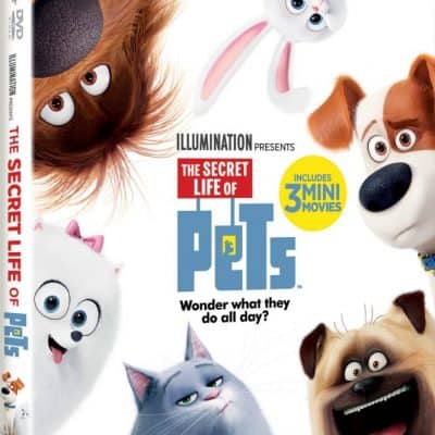 The Secret Life of Pets available for home viewing 11/22