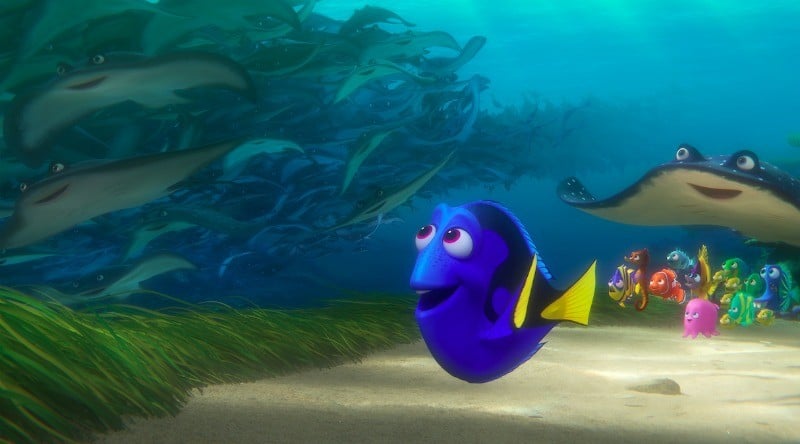 dory-screenshot