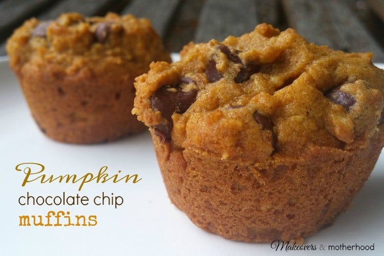 pumpkin-chocolate-chip-muffins-blog