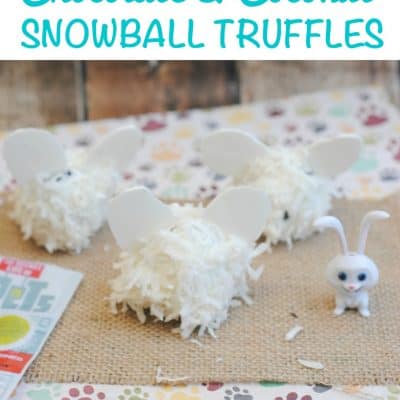 Chocolate & Coconut Snowball Truffles Recipe: #TheSecretLifeofPets Snowball Treat