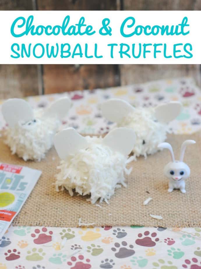 Chocolate and Coconut Snowball Truffles Recipe from This Mama Loves