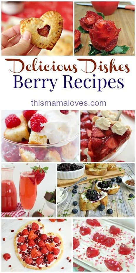 Delicious Dishes Berry Party long