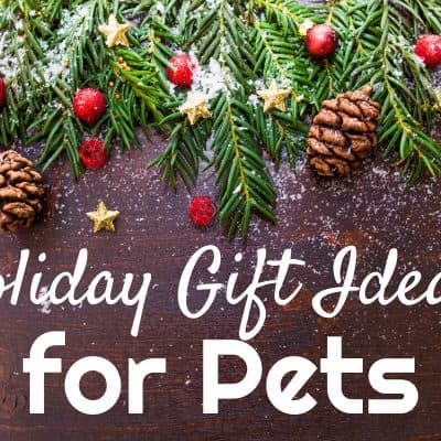 Holiday Gift Ideas for Pets