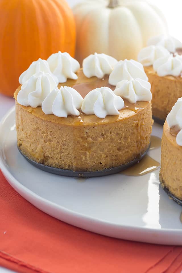 Mini Pumpkin Cheesecakes from Cookie Dough and OvenMitt