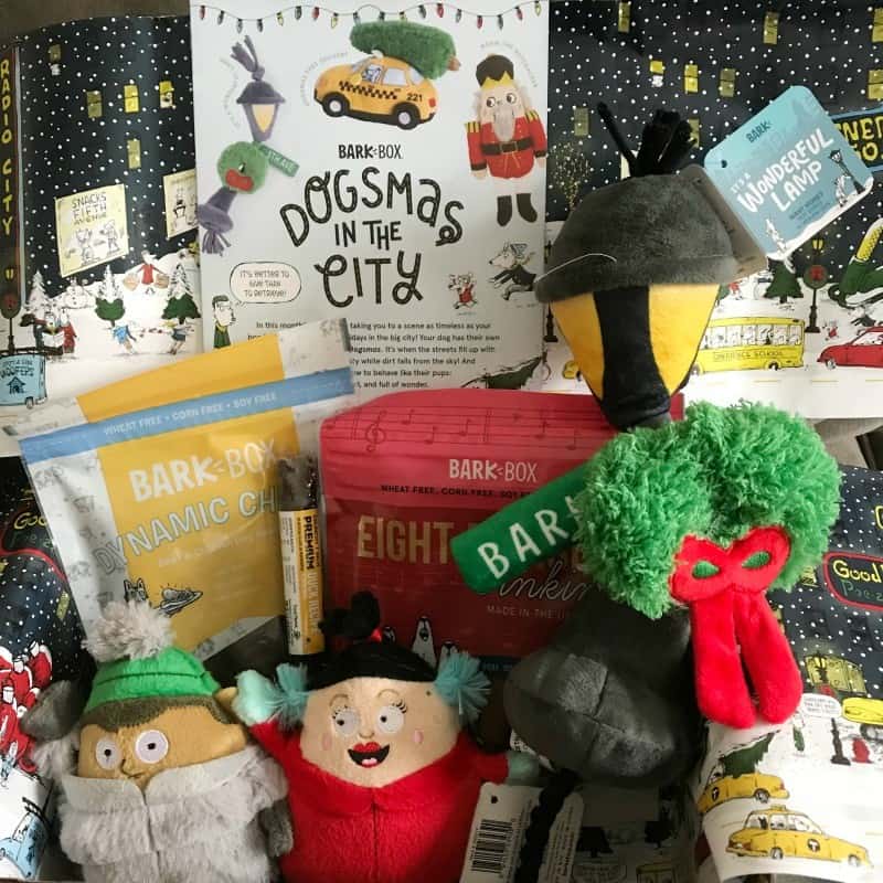 Dog lover subscription online box