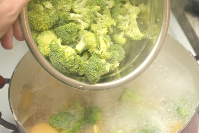 Sausage and Broccoli Conchiglioni Pasta broc