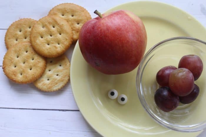 cracker snail snack supplies