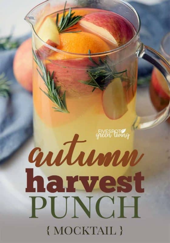 Autumn Harvest Punch Recipe from FiveSpot Green Living