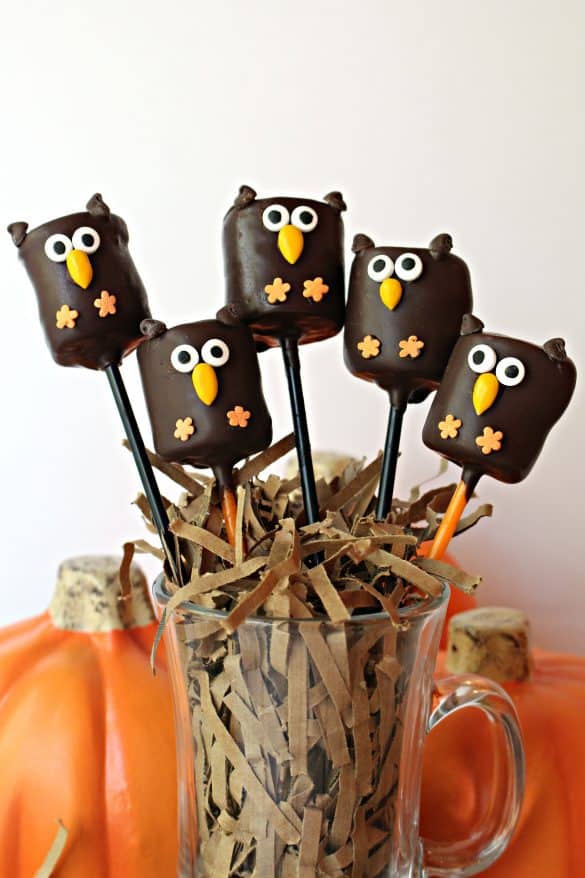 Owl Marshmallow Pops from The Monday Box