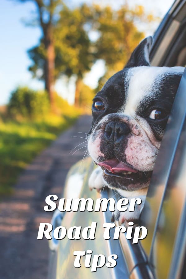 Summer Road Trip Tips with Pets