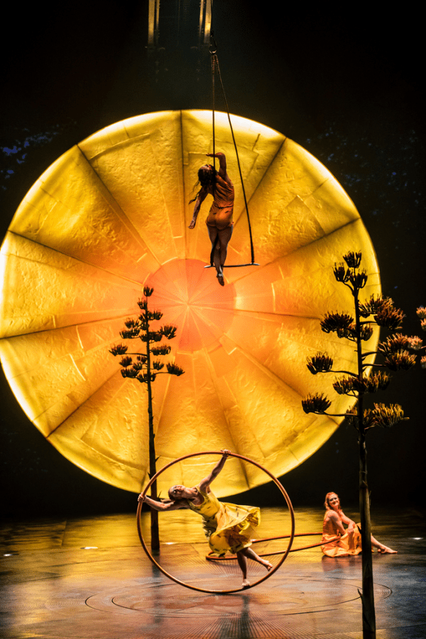 cirque luzia image still swings