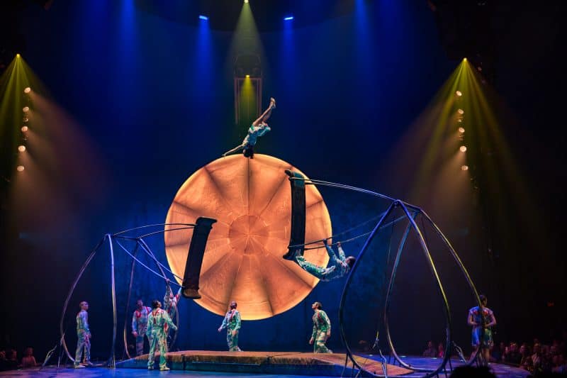 cirque luzia swing to swing