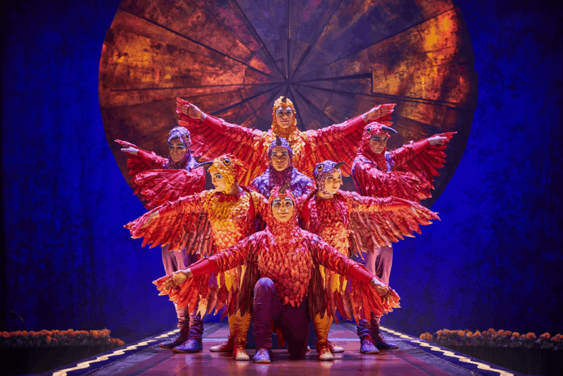 cirque luzia bird costumes