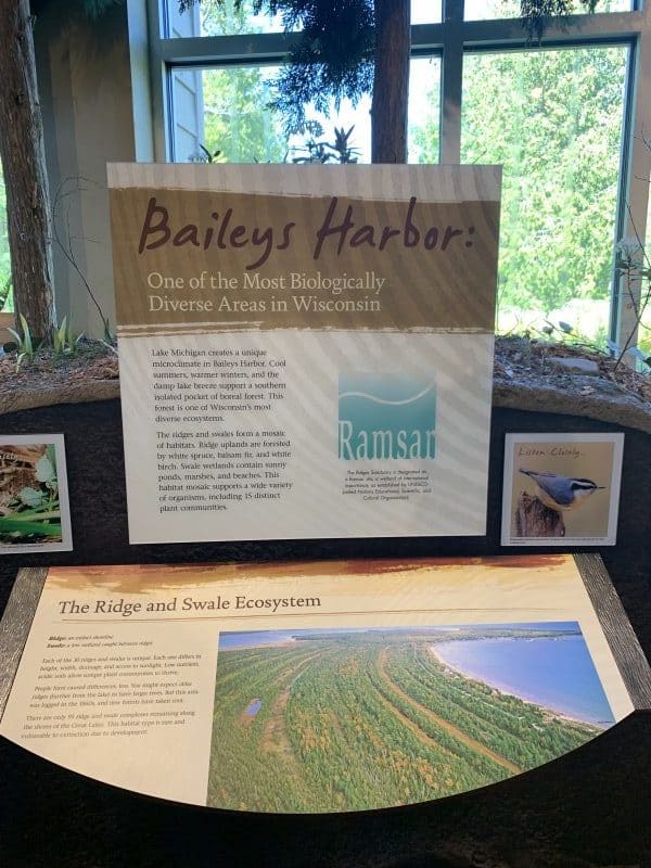 baileys harbor ridge and swale ecosystem