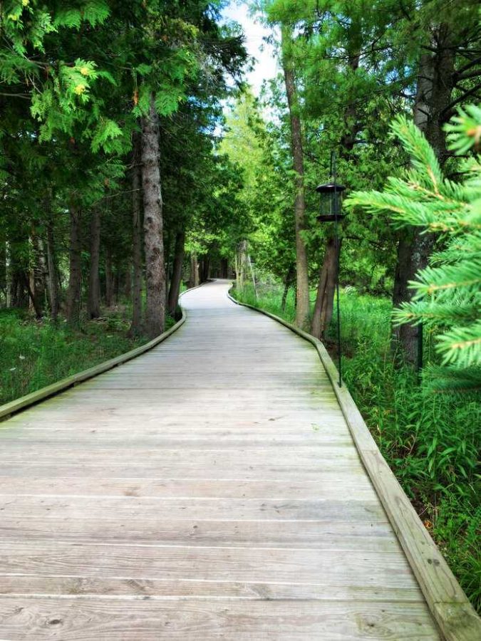 the ridges sanctuary fully accessible hiking walking trail wisconsin