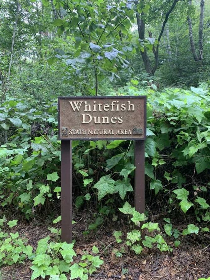 whitefish dunes