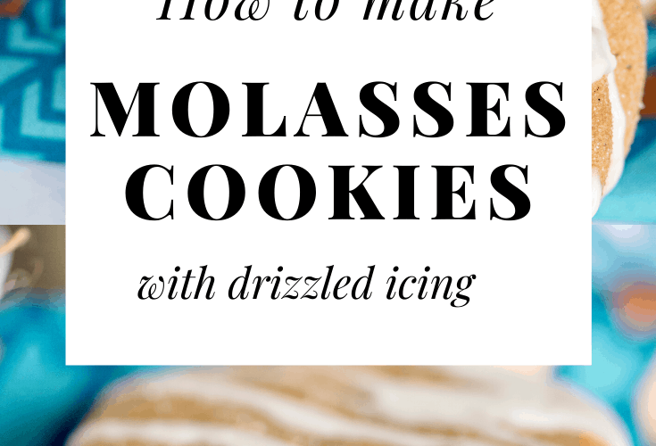 Easy Iced Molasses Cookies Long