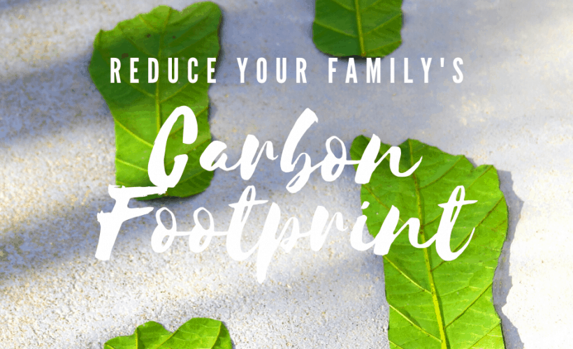 Simple Ways to Reduce Your Household’s Carbon Footprint 