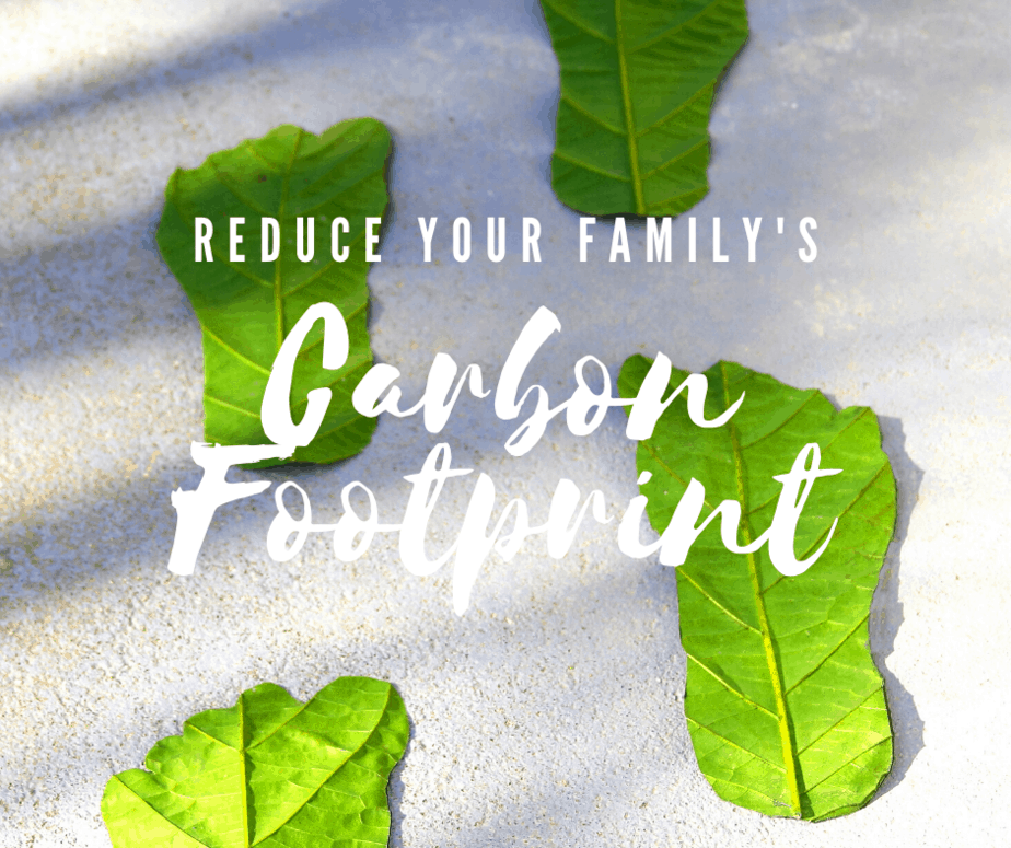 Simple Ways to Reduce Your Household’s Carbon Footprint 