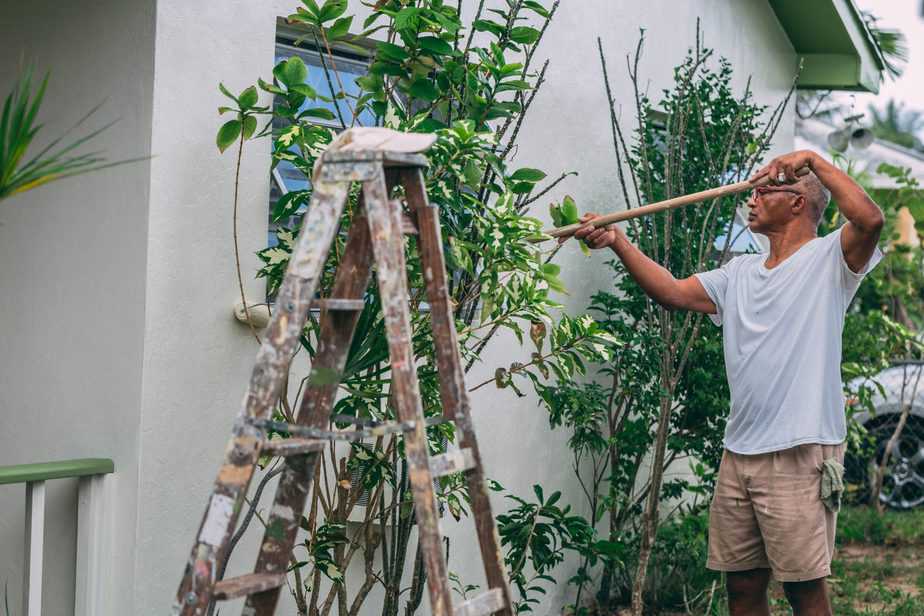 man working on pruning shrubs with ladder by his side
